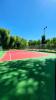 Luis